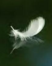 Una princesita cachetona ^^gogogogo